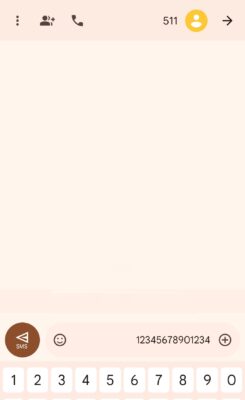 NOL Card Balance Check by SMS