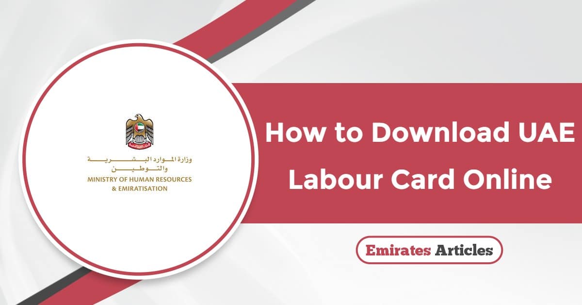 How to Download UAE Labour Card Online? Easy Steps & Guide