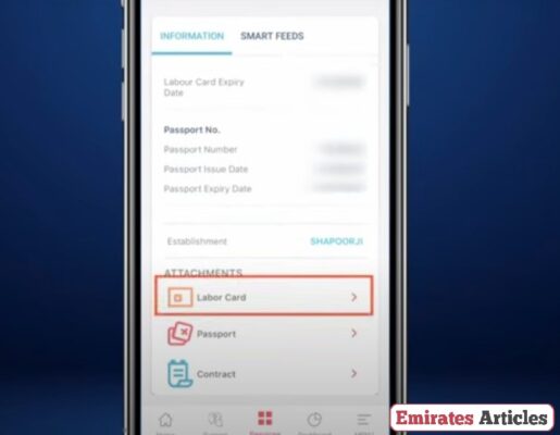 How to Download UAE Labour Card Online