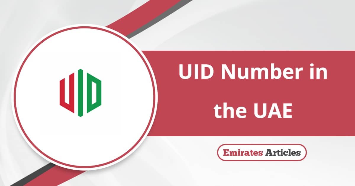 UID Number in the UAE: All You Need to Know
